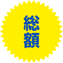 総額